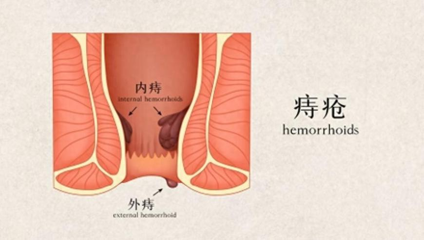 118跑狗論壇資料大全網(wǎng)頁,河南經(jīng)濟(jì)挑戰(zhàn)與機(jī)遇_影像版V11.87