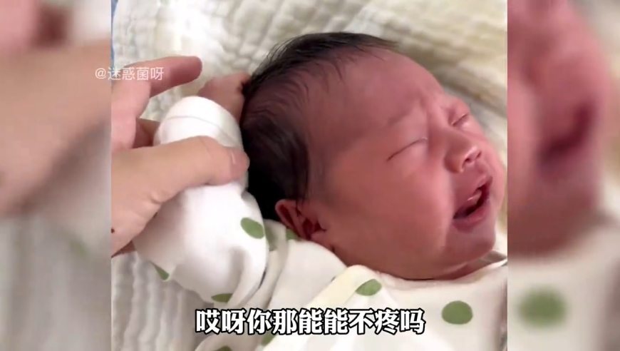 香港王中原創(chuàng)資料,?？诰教幚砼柏堉{言案件_權威版V10.91